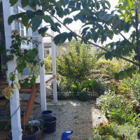 Дом 67 кв.м. на участке 3 сот.