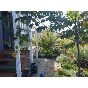 Дом 67 кв.м. на участке 3 сот.